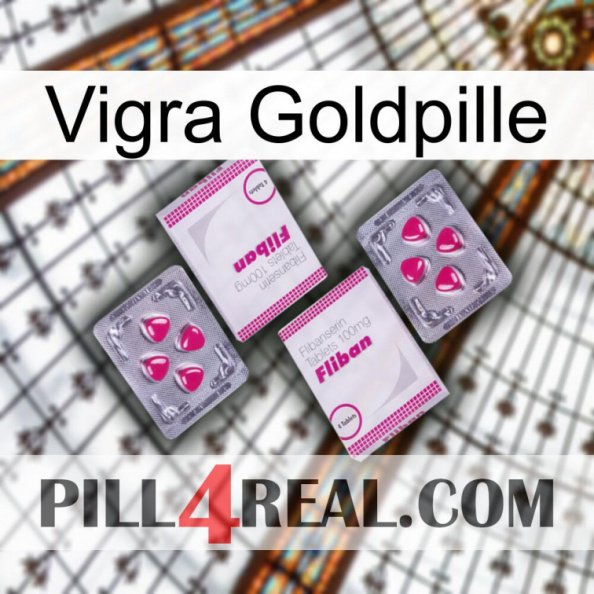 Vigra Gold Pill 33.jpg